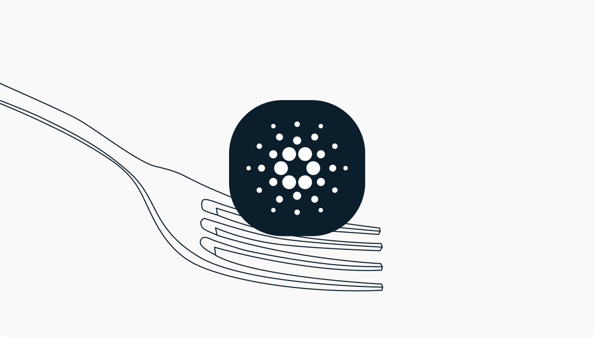 Cardano：Ledger Nano 已为迎接Mary 硬分叉准备就绪| Ledger