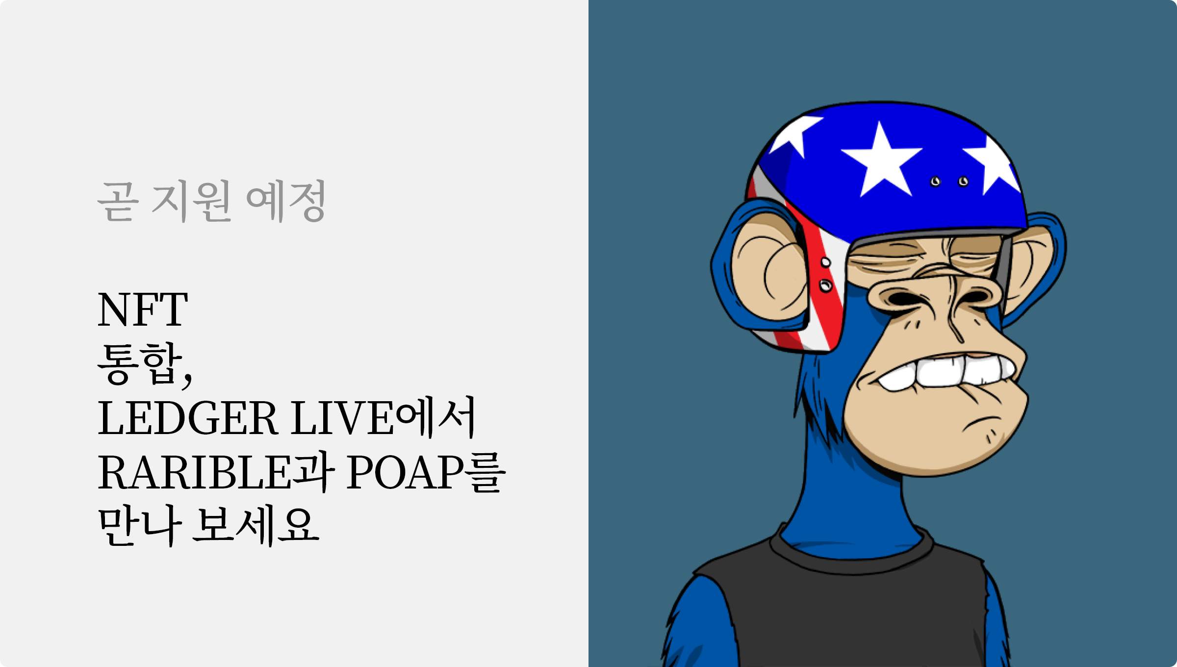 Ledger Live에서 곧 NFT를 만날 수 있습니다 | Ledger