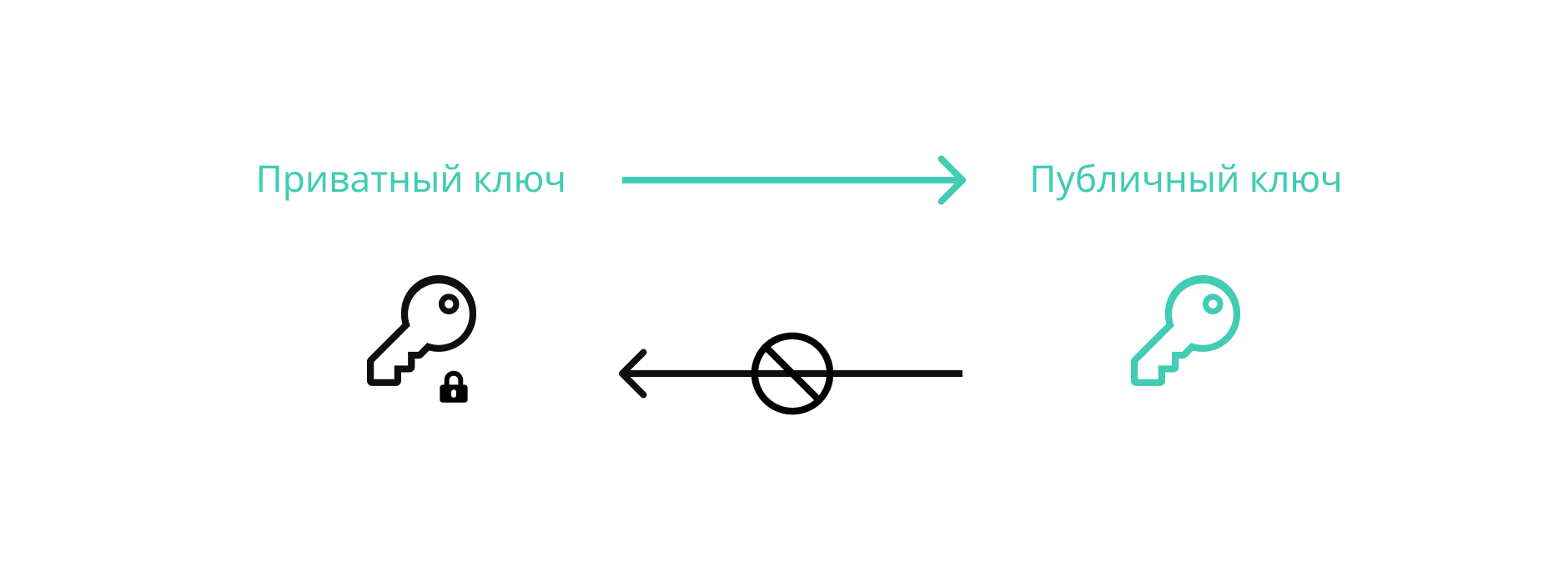 Добавить публичный ключ. Добавить публичный ключ