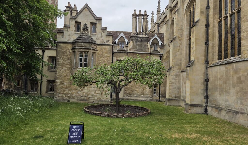Newton's Tree